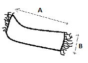 Skica mjera